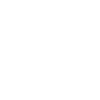 shield-alt.png